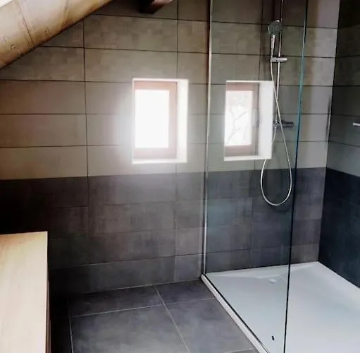 Papillon 6 à14 Personnes - Jacuzzi Hébergement de vacances Gérardmer